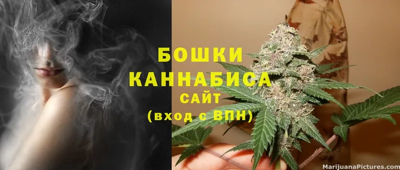 Каннабис Bruce Banner  Бабаево 